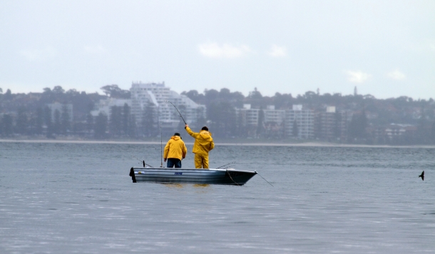 Government details plans for NSW Marine Estate management